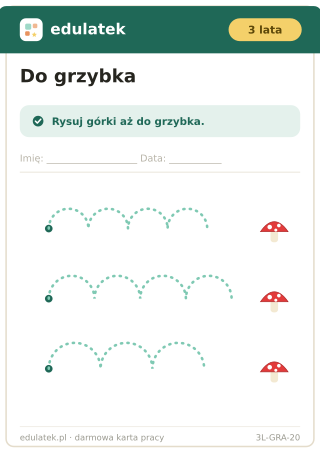 Karta 20