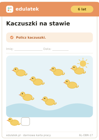 Karta 17