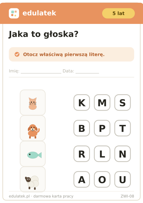 Karta 8